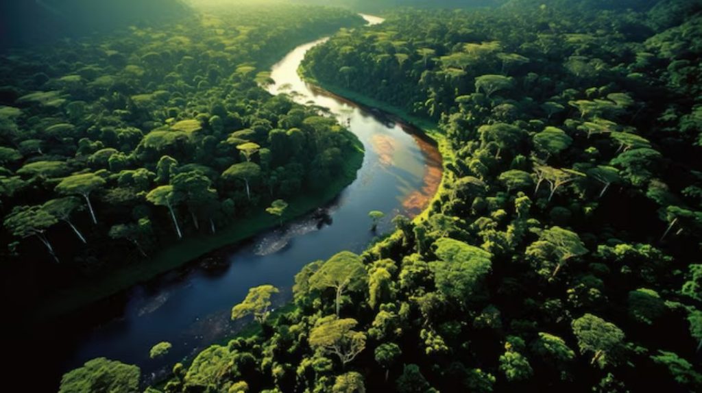 amazon-rainforest-brazil