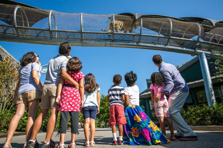 Family Vacations in Texas